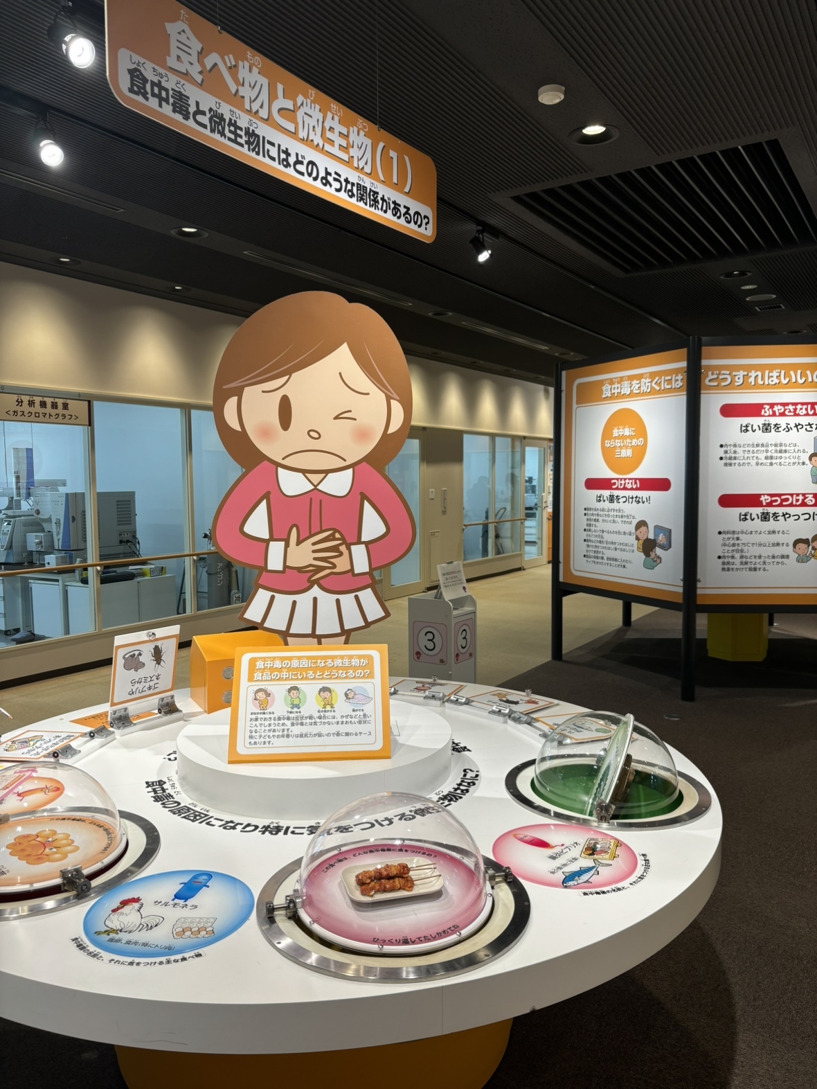 食の安全ゾーン
