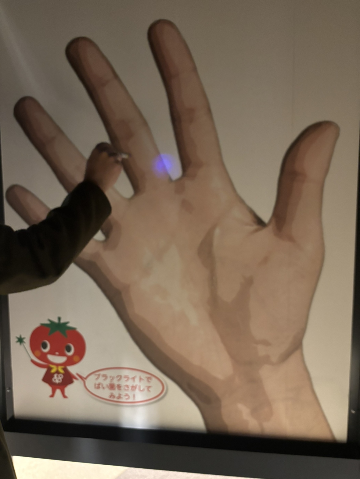 ブラックライトをかざしてばい菌を探そう