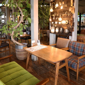 ANTIQUA TREE CAFE店内2