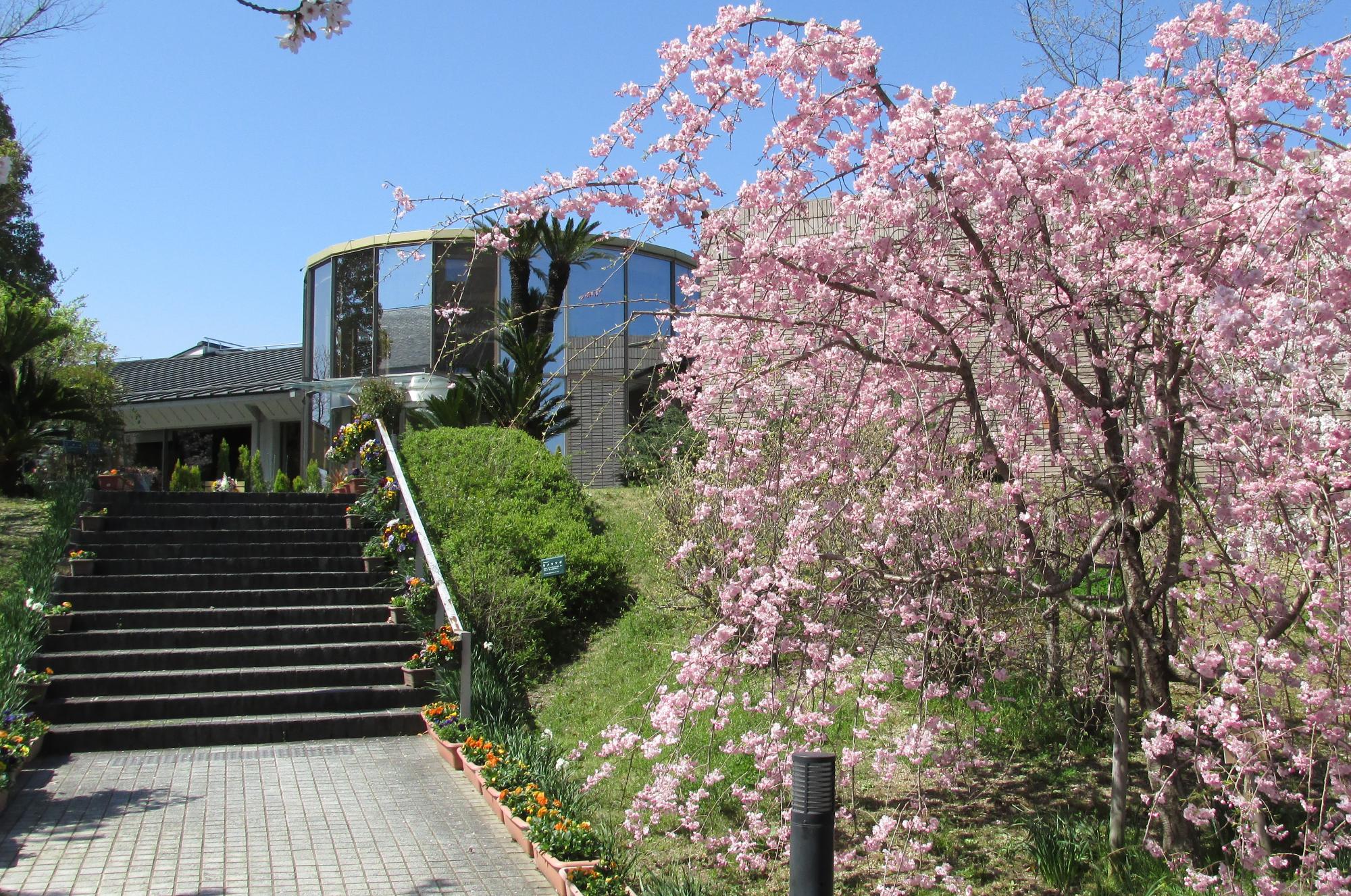 まなび野プラザ外観