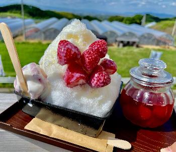 農園cafe 苺果