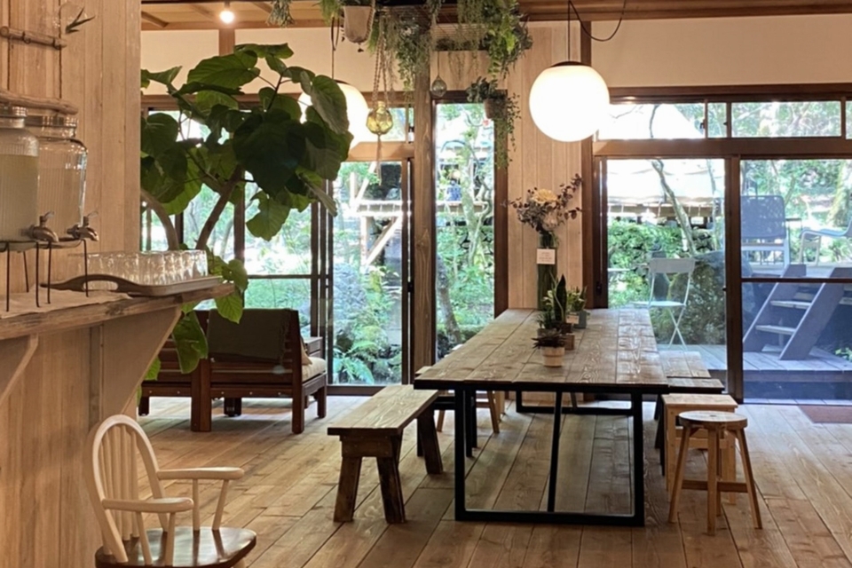 観葉植物が飾られている長いテーブルのある店内の様子の写真