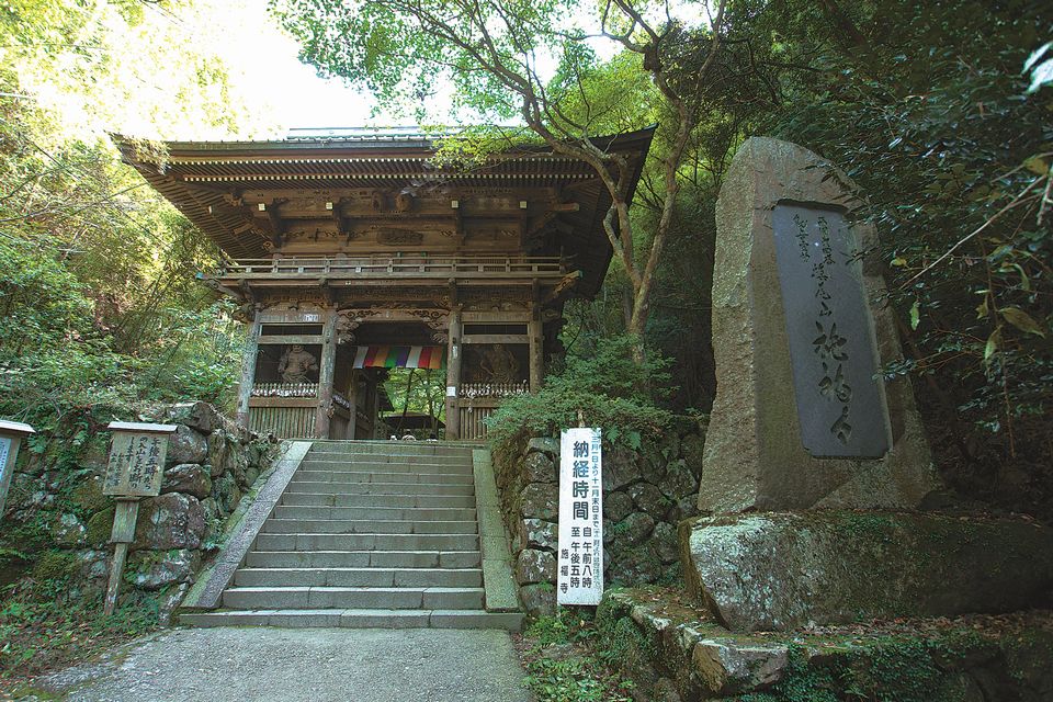 木々に囲まれた石碑と入り口に向かう階段の写真