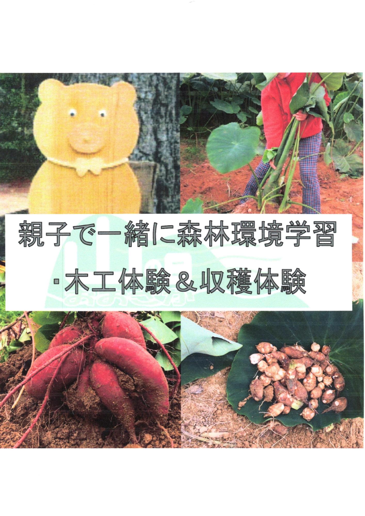 親子で一緒に森林環境学修