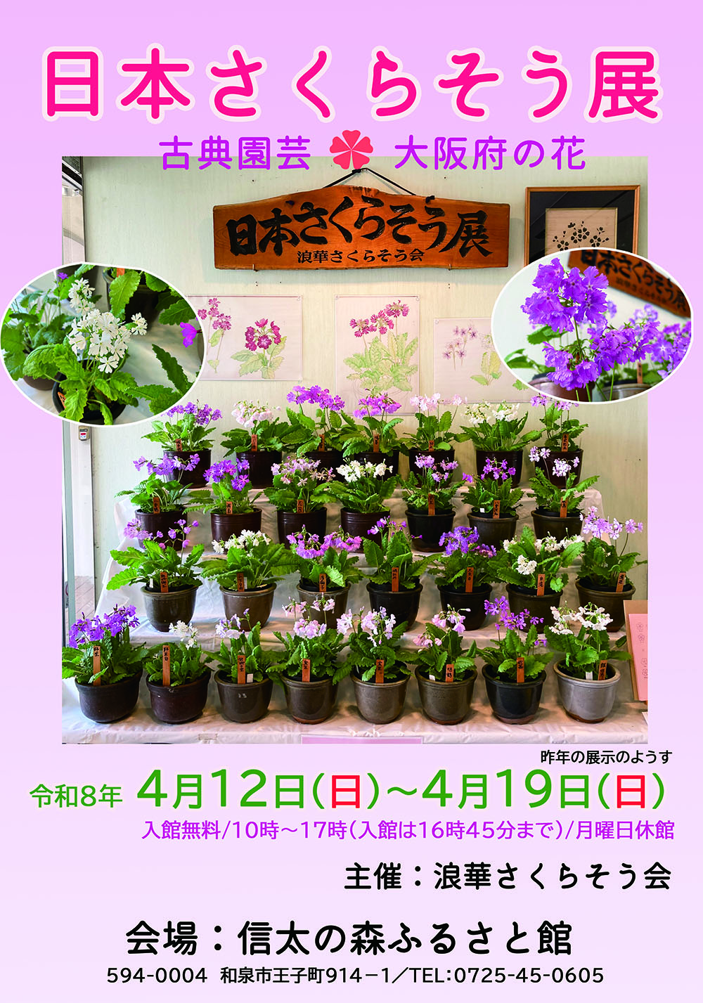 日本さくらそう展